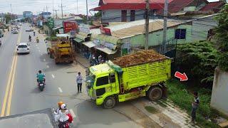 Starting Project!Bulldozer D31P KOMATSU Strong Pushing Soil, Filling Land, 5Ton Dump TRUCK, Mix VDO