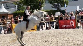 Horse Riding and Dressage: Highlights of the Mustang Makeover in Aachen / Germany (July 2022)