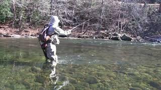 Fishing the Lower Oconaluftee River in North Carolina