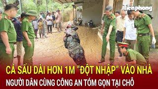 Bản tin thời sự 6/10: Cá sấu hơn 1m bất ngờ “đột nhập” vào nhà, người dân cùng công an tóm tại chỗ