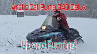 Resurrecting an Arctic Cat Puma 340, Pt 3