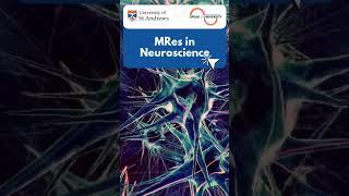 MRes in Neuroscience #neurosciences #neuroscience #braincells #neurology #neuro #science