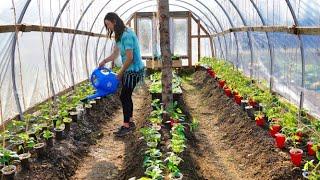 Let's Get this Garden Planted | Growing Food in Alaska