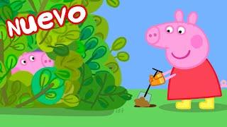 Los Cuentos de Peppa la Cerdita | Madriguera del jardín | NUEVOS Episodios de Peppa Pig