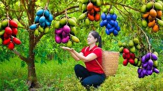 Harvesting Ambarella Goes To Market Sell | Harvesting and Cooking | Lý Hương Song