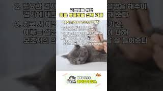좋은 동물병원 선택 기준