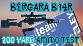 Bergara B14R Carbon - 200 yards - Eley Team Ammo Test