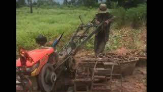 transport cassava