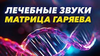 Выздоровление от Всех Болезней и укрепление иммунитета / Всеисцеляющая Матрица Гаряева