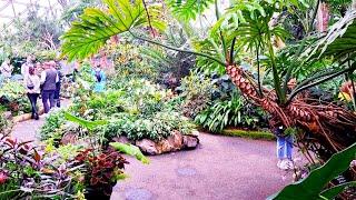 Bloedel Conservatory - Botanical Gardens in Vancouver