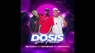 DOSIS DE PERREO - PAPI NEGRIS - NELSON DJ - JUNIOR DJ