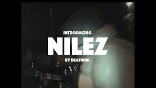 Introducing Nilez