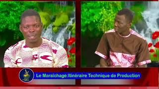 Le maraîchage : Itinéraire technique de Production Partie 3.