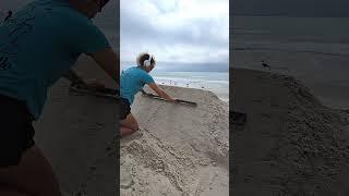 Am I one of the flock? #sand #satisfying #asmr #beach #sandasmr #sandcastle #seagull #bird