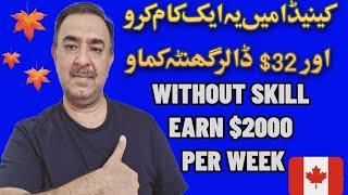 Earn $32 per hour in Canada without any skills | Dz License procedure in Canada for best Earning