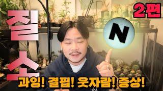 식물의 필수원소 NPK 도장깨기 / 질소 2편 질소 결핍 과잉 증상 문제