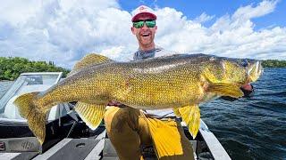 Giant Walleye of Lake of The Woods! (Featuring John Hoyer)