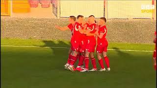 STUNNING STEVEN MCCOLLOUGH WINNING GOAL - PORTADOWN V LOUGHGALL - 2024 IRISH PREMIERSHIP FOOTBALL