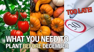 What Vegetables Can You Grow In November? Australian Gardening