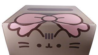 Pusheen Box Winter 2024 Staying Cozy Pusheen Subscription Box Unboxing Review