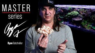 The REAL Truth Behind Nutrients in Our Reef Tanks. | BRStv Master Series: Nitrate & Phosphate