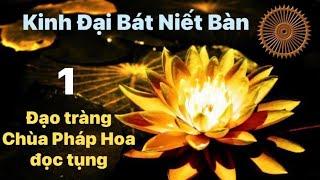 Tụng Kinh Đại Bát Niết Bàn #1🪷Đạo Tràng Chùa Pháp Hoa- TT Thích Thiện Lợi tụng🪷