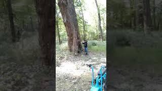 Flash and fast Andy discover grand oak dick tree and vagina elm ceremonial forest. We found it!