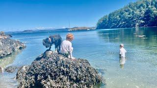 Exploring a hidden cove in the PNW