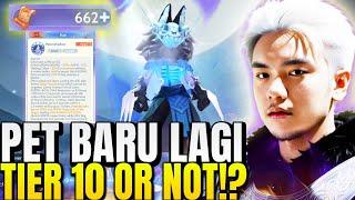 Guild League KERAS + Gacha NEW Tier S PET TIER 10 OR NO!? - Ragnarok Origin Global