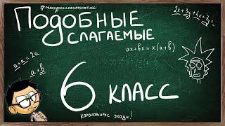 Видеоурок по теме ПОДОБНЫЕ СЛАГАЕМЫЕ