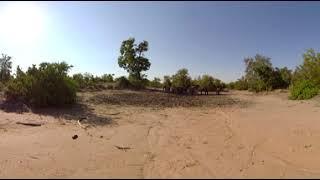 360 Video Kruger Park Wildlife Film trip  - Photos of Africa VR Safari