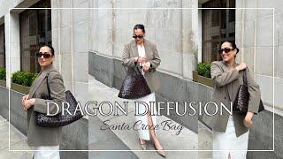 Dragon Diffusion | Santa Croce Bag | Blessy Roy