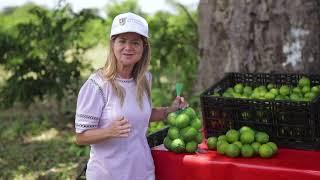 Elsa Noguera: los limones tahití de Repelón son de exportación