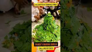 Kalsarp Pooja in Trimbakeshwar | Call: 9921572833