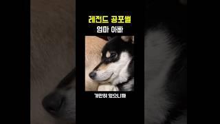 레전드 공포썰 [엄마아빠]