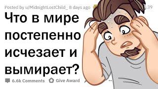 Что в мире ПОСТЕПЕННО ИСЧЕЗАЕТ? ⏳