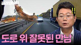 고라니는 차 유리를 찢어;; 제 차 배상은 누가 해주나요 도로 위 잘못된 만남 모음 1시간 | 한블리(한문철의 블랙박스 리뷰) | JTBC 240402 방송 외