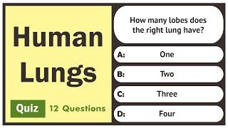 Human Lungs - Quiz | 12 Questions | General Science Quiz