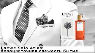 Loewe Solo Atlas: белоцветочная свежесть бытия