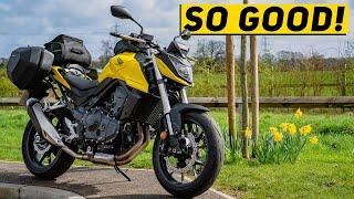 Why the NEW Honda Hornet is SO GOOD!