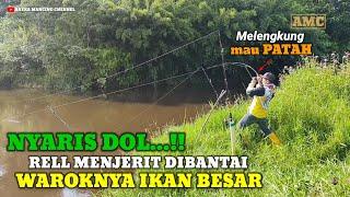 TIADA OBAT..!!Strike Ikan Besar Rell Menjerit Jerit Kuat Sampai Ngos Ngosan