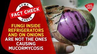 Fungi Inside Refrigerators & On Onions Are Not The Ones Causing Mucormycosis | Fact Check