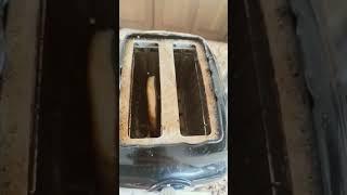 never stick a fork in the toaster