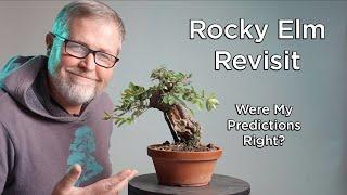 Bonsaify | Revisiting a Chinese Corkbark Elm: How Accurate were Eric's Predictions?