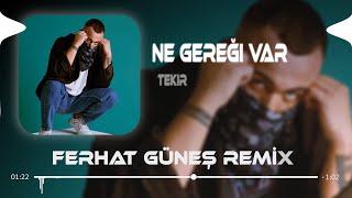 Ben Kendimi Toplarım Kendi Başıma - Tekir ( Ferhat Güneş Remix )