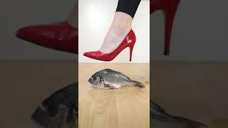 Experiment High Heels vs Fish | Crushing Crunchy & Soft Things! #Shorts