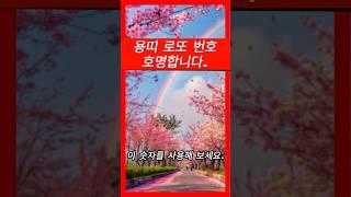용띠 로또 번호 호명합니다.