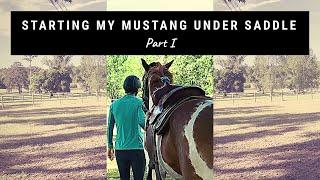 Starting my mustang under saddle (Part 1)