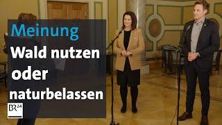 Wald nutzen oder naturbelassen lassen: Streitgespräch Kaniber und Hartmann | BR24