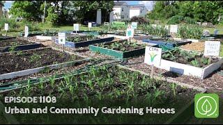 Growing a Greener World Episode 1108: Urban and Community Gardening Heroes